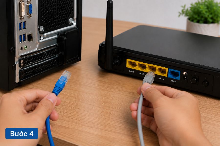 Cắm mạng LAN nhưng không vào được Internet