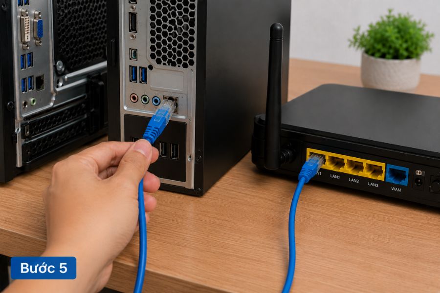 Cắm mạng LAN nhưng không vào được Internet