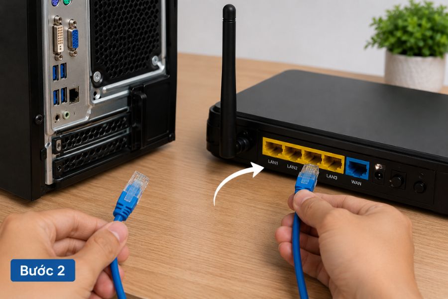 Cắm mạng LAN nhưng không vào được Internet