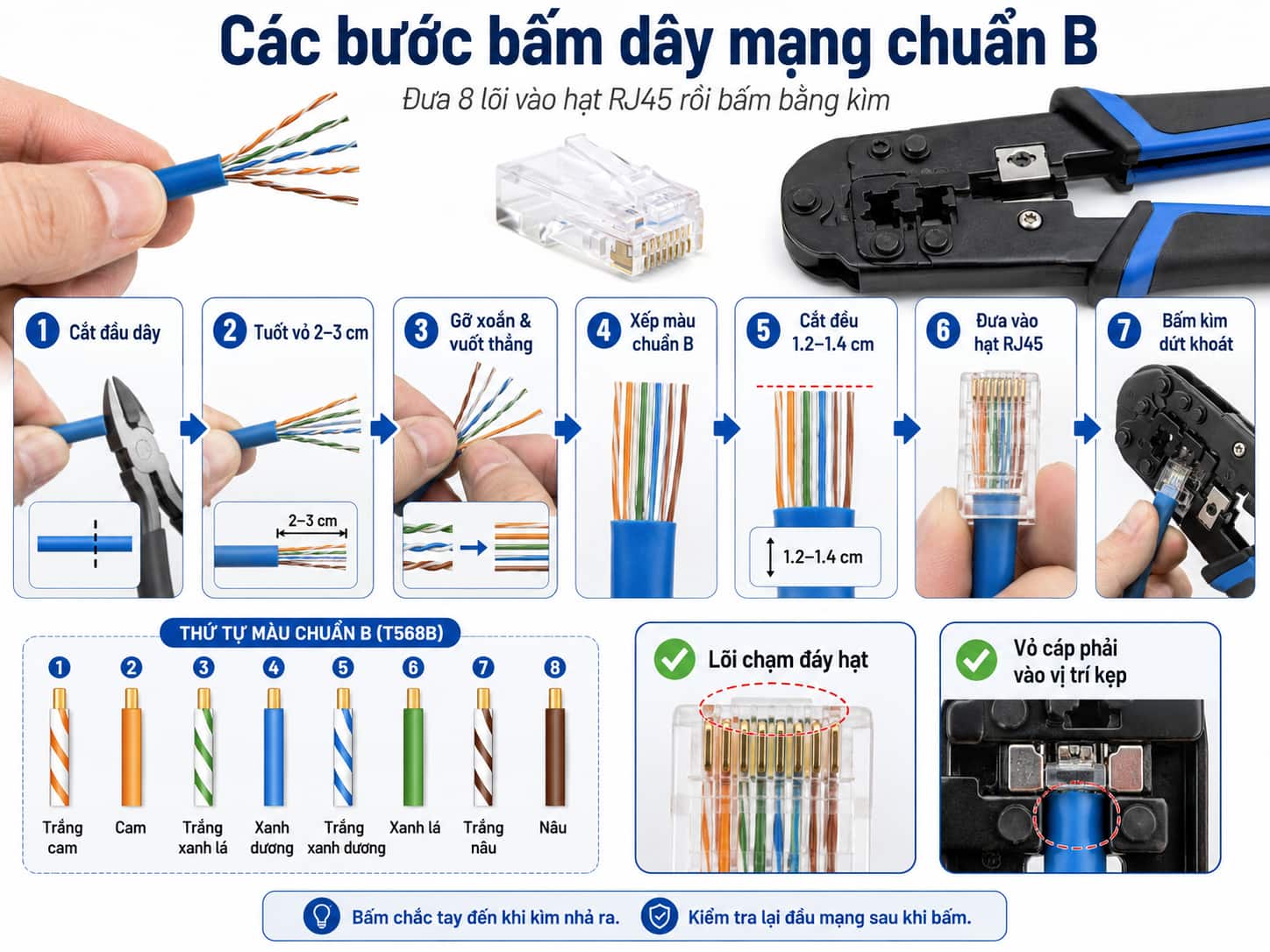 Thao tác đưa bó tám lõi vào hạt RJ45 trước khi đặt vào ổ kìm để ép.