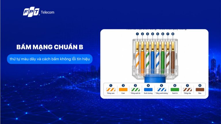 Bấm mạng chuẩn B: thứ tự màu dây và cách bấm không lỗi tín hiệu