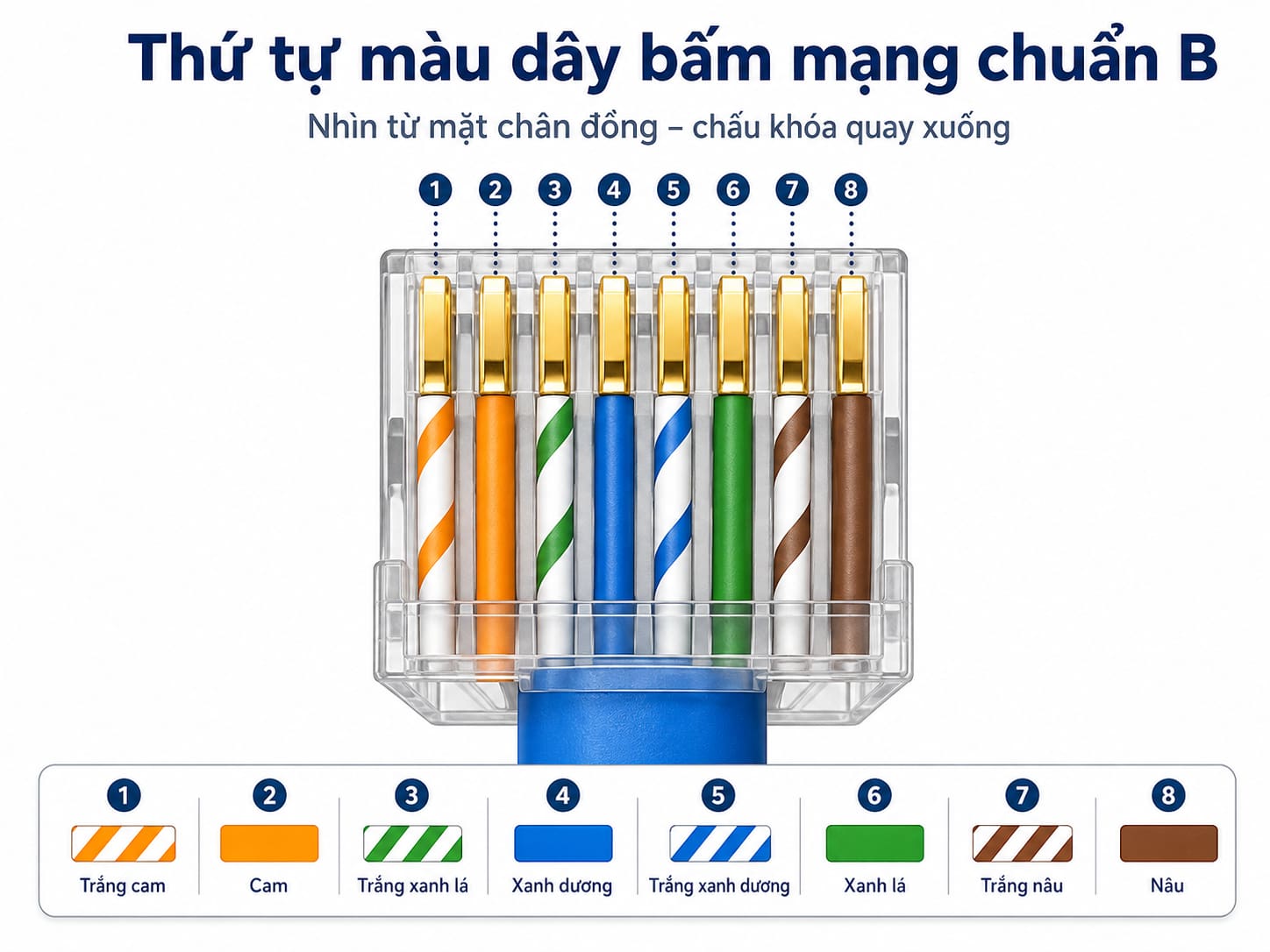 Tám lõi xếp theo T568B nhìn từ mặt chân đồng của hạt RJ45, chấu khóa quay xuống.