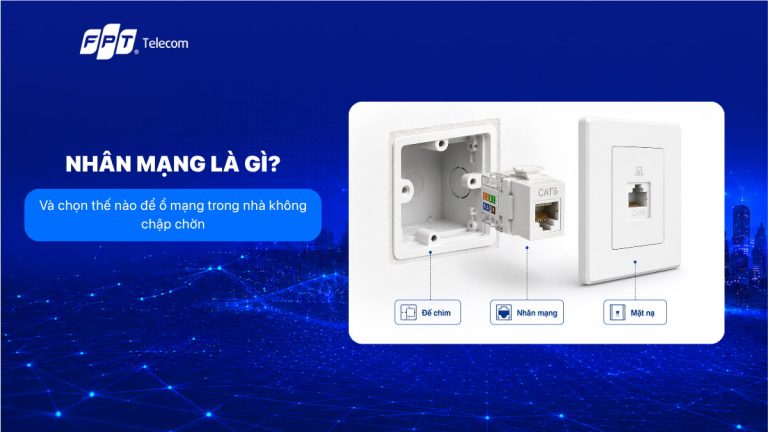 Nhân mạng là gì? Và chọn thế nào để ổ mạng trong nhà không chập chờn