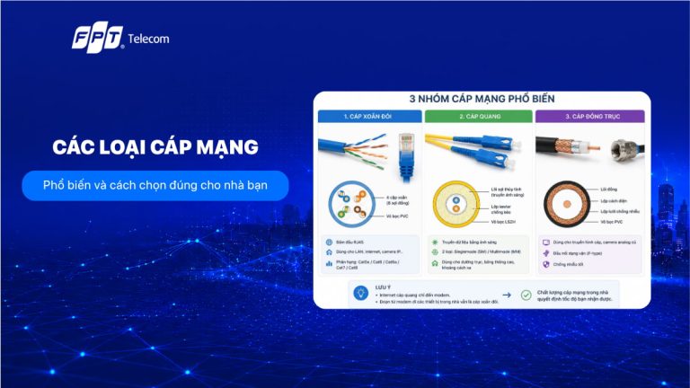 Các loại cáp mạng phổ biến và cách chọn đúng cho nhà bạn