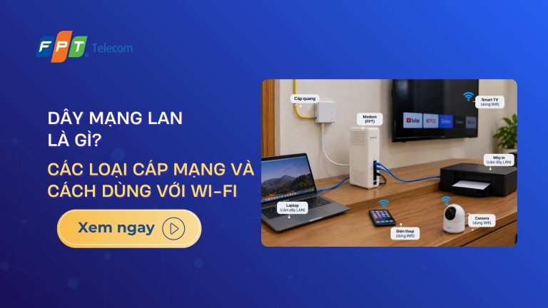 Dây mạng LAN là gì? Các loại cáp mạng và cách dùng với Wifi